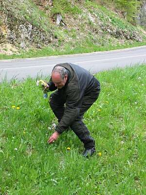 Nothalt, Blumen verwelkt !